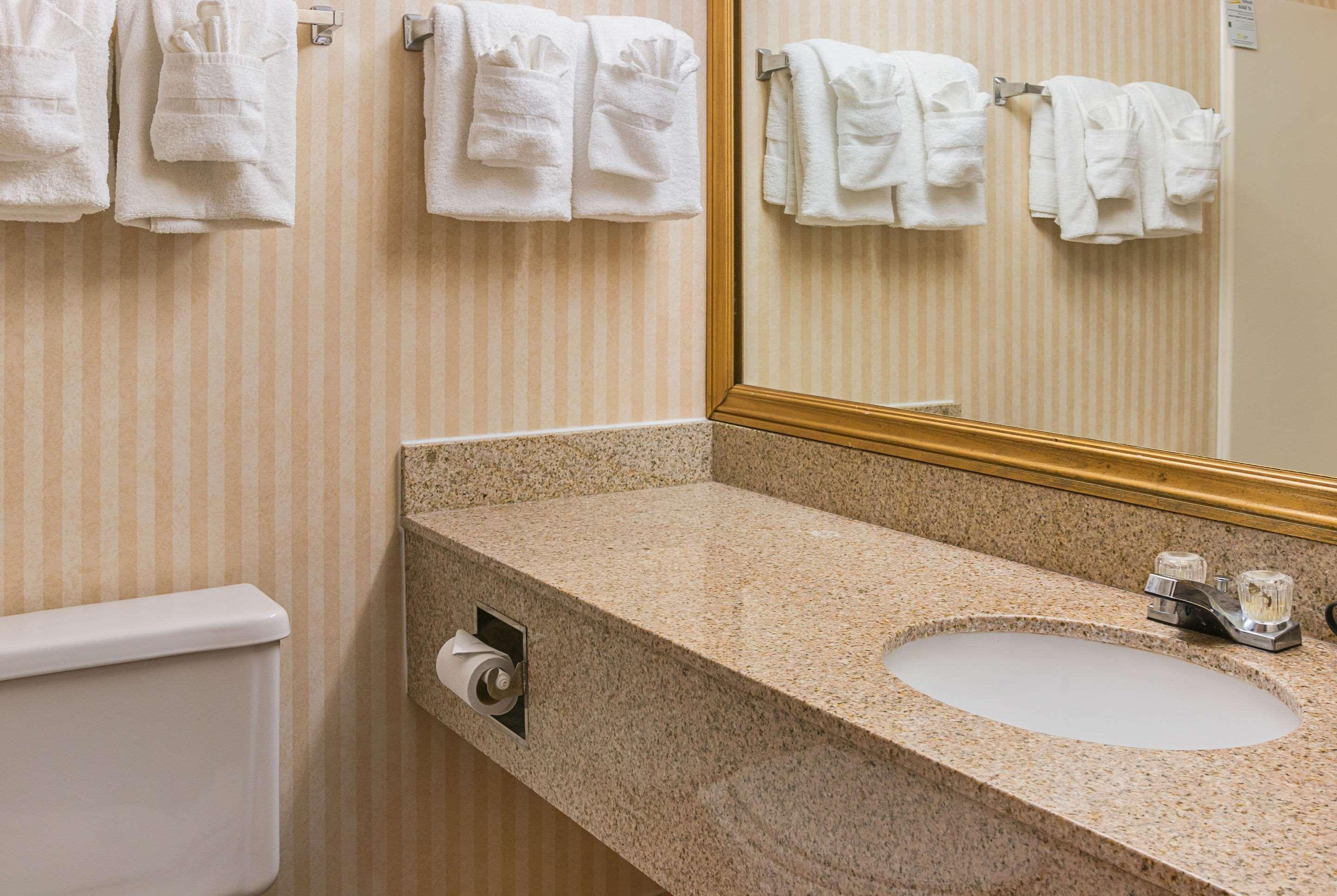 Quality Inn & Suites Detroit Metro Airport Romulus Exteriér fotografie
